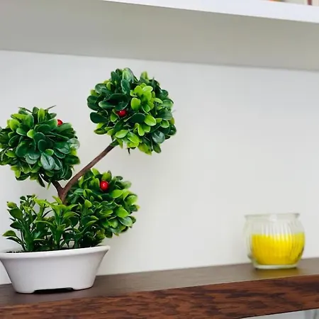 Positano Apartman Várna